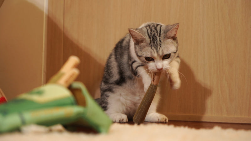 Share A Puff