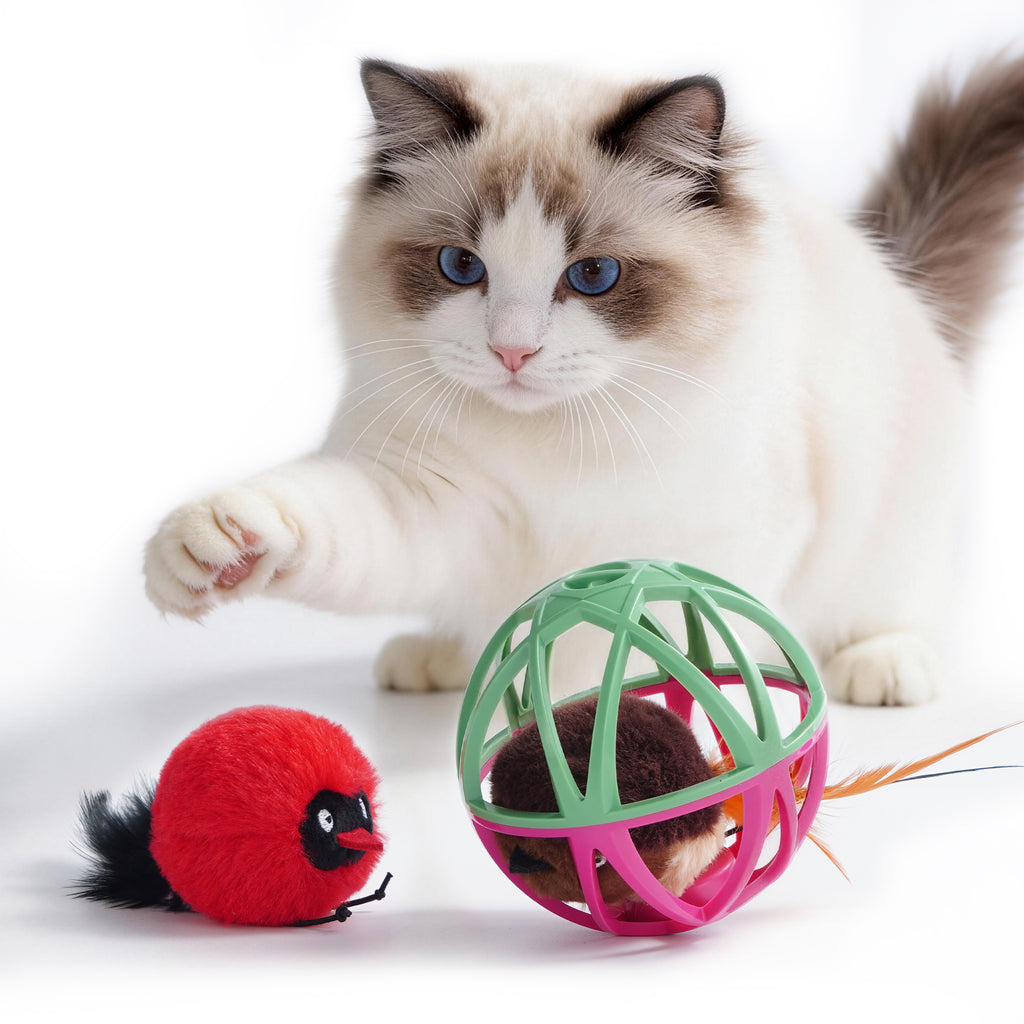 Twittering Rolling Ball Cat Toy with 2 Pack Catnip Birds