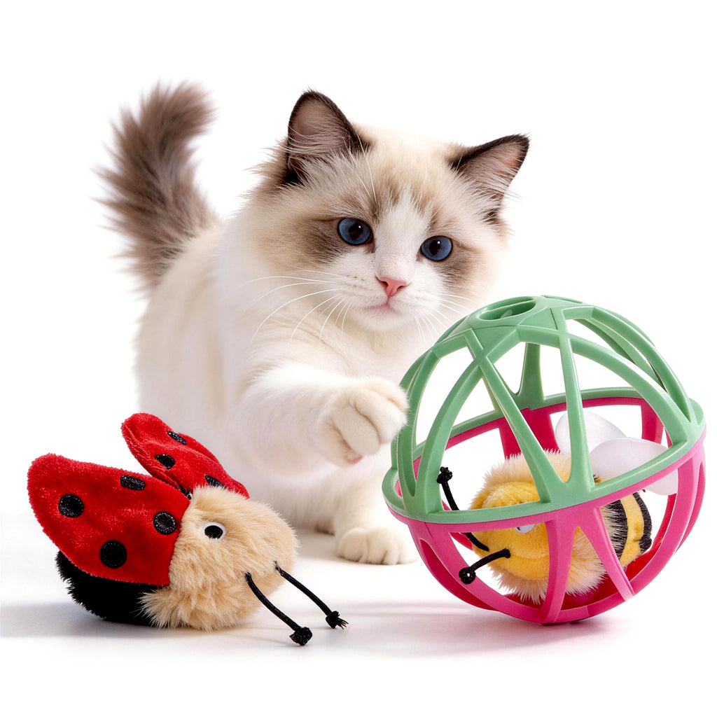 Twittering Rolling Ball Cat Toy with 2 Pack Catnip Bugs