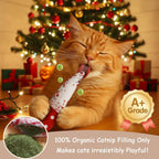 5 Pack Spooky 100% Pure Catnip Filled Cat Toys