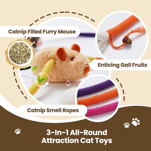 3 Pack Cat Chew Ropes with Catnip Filling Rats & Gall Fruits