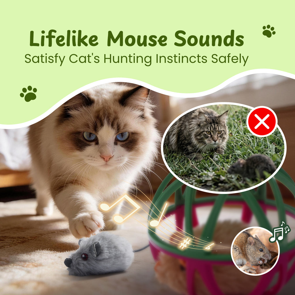 Twittering Rolling Ball Cat Toy with 2 Pack Catnip Rats