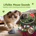 Twittering Rolling Ball Cat Toy with 2 Pack Catnip Rats