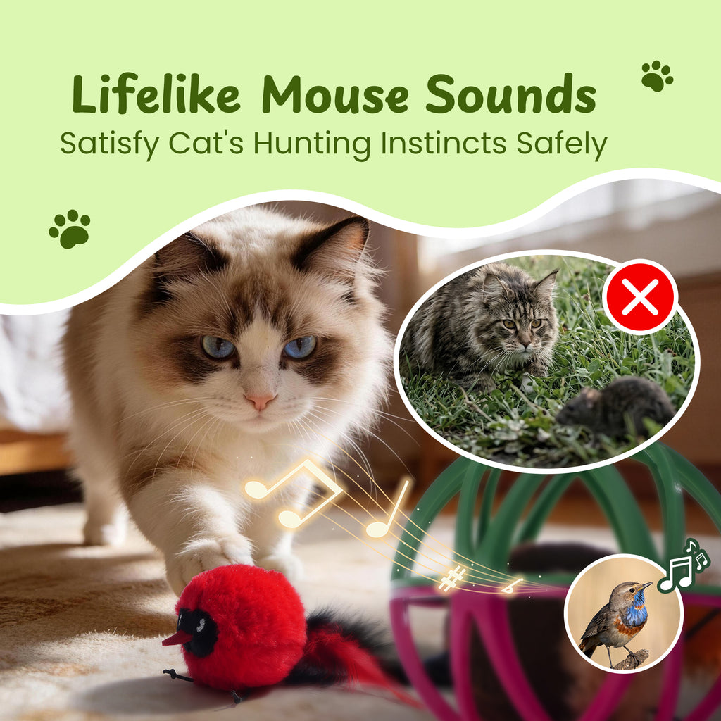 Twittering Rolling Ball Cat Toy with 2 Pack Catnip Birds