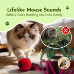 Twittering Rolling Ball Cat Toy with 2 Pack Catnip Birds