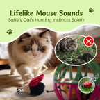 Twittering Rolling Ball Cat Toy with 2 Pack Catnip Bugs