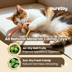 3 Pack Cat Chew Ropes with Catnip Filling Rats & Gall Fruits