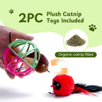 Twittering Rolling Ball Cat Toy with 2 Pack Catnip Birds