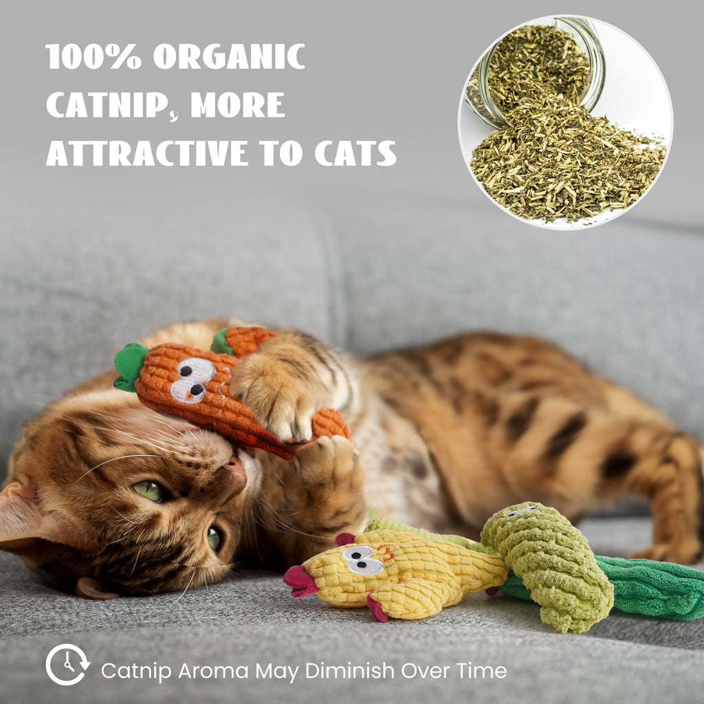 5 Pack Cactus 100% Pure Catnip Filled Cat Toys