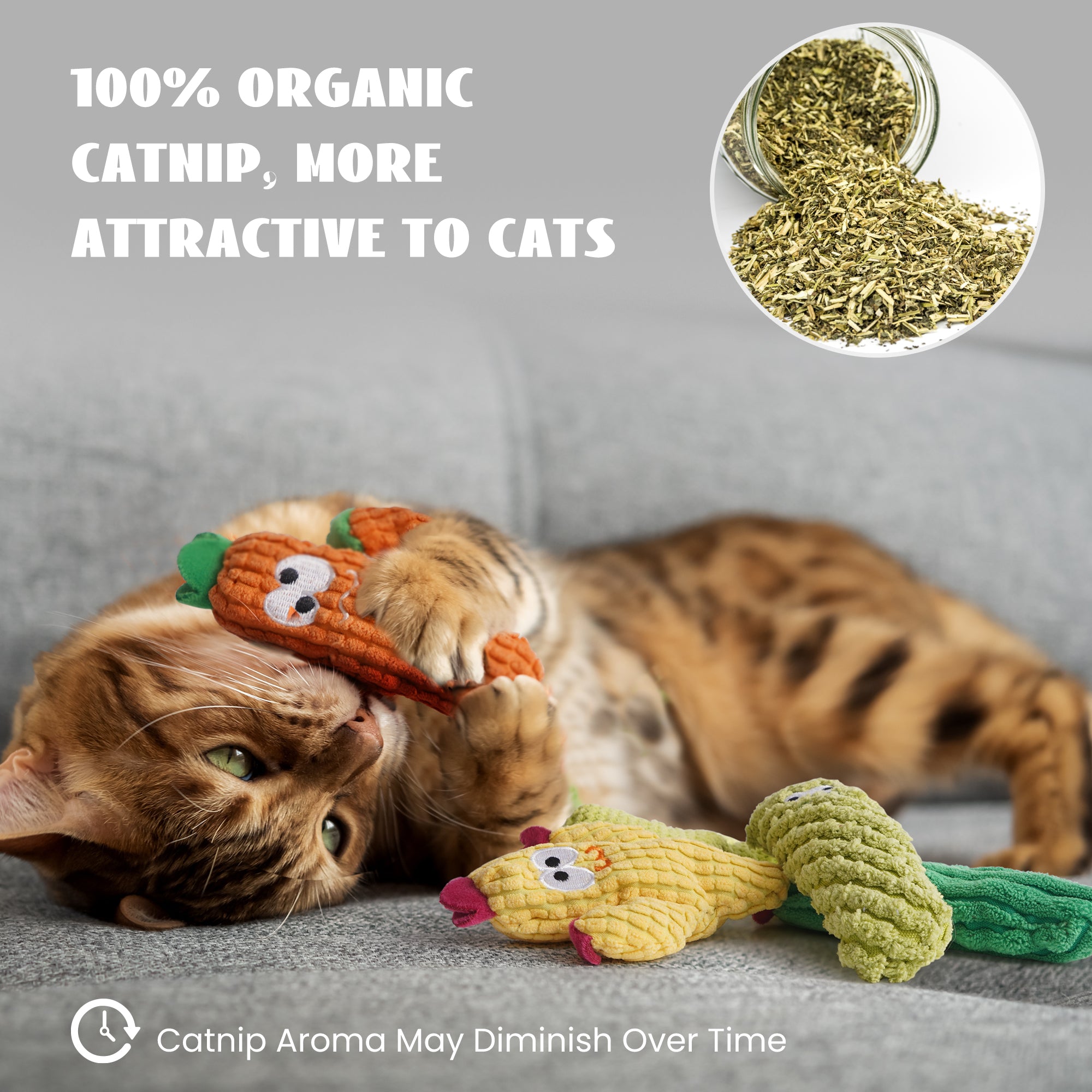 5 Pack Cactus 100% Pure Catnip Filled Cat Toys