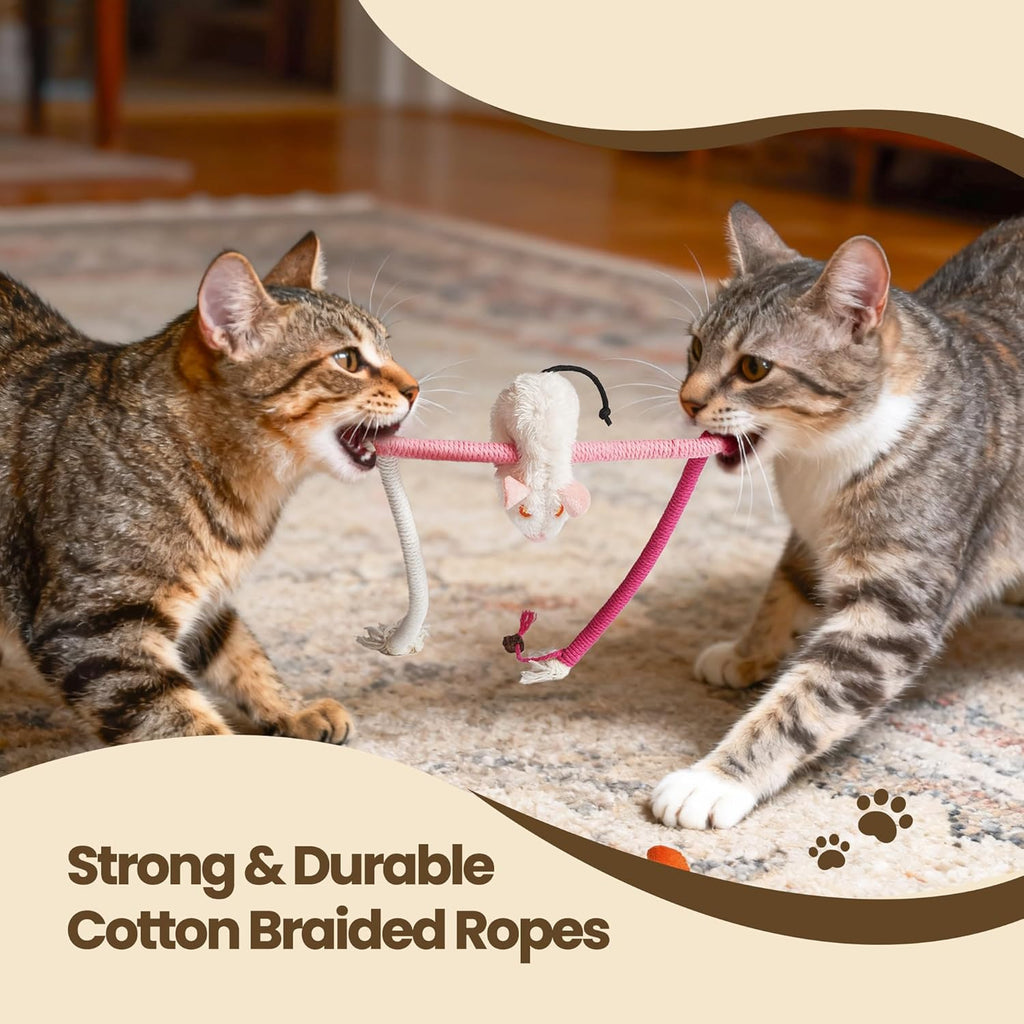 3 Pack Cat Chew Ropes with Catnip Filling Rats & Gall Fruits