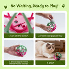 Twittering Rolling Ball Cat Toy with 2 Pack Catnip Rats