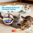 3 Pack Trophy Fish 100% Pure Catnip Filled Crinkly Cat Toys