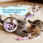2 Pack Trophy Fish 100% Pure Catnip Filled Crinkly Cat Toys