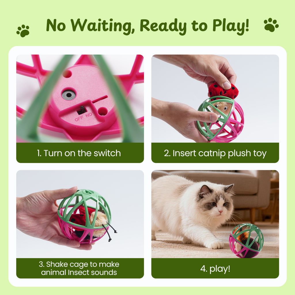 Twittering Rolling Ball Cat Toy with 2 Pack Catnip Bugs