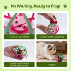 Twittering Rolling Ball Cat Toy with 2 Pack Catnip Bugs