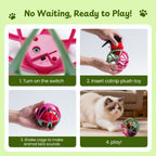 Twittering Rolling Ball Cat Toy with 2 Pack Catnip Birds