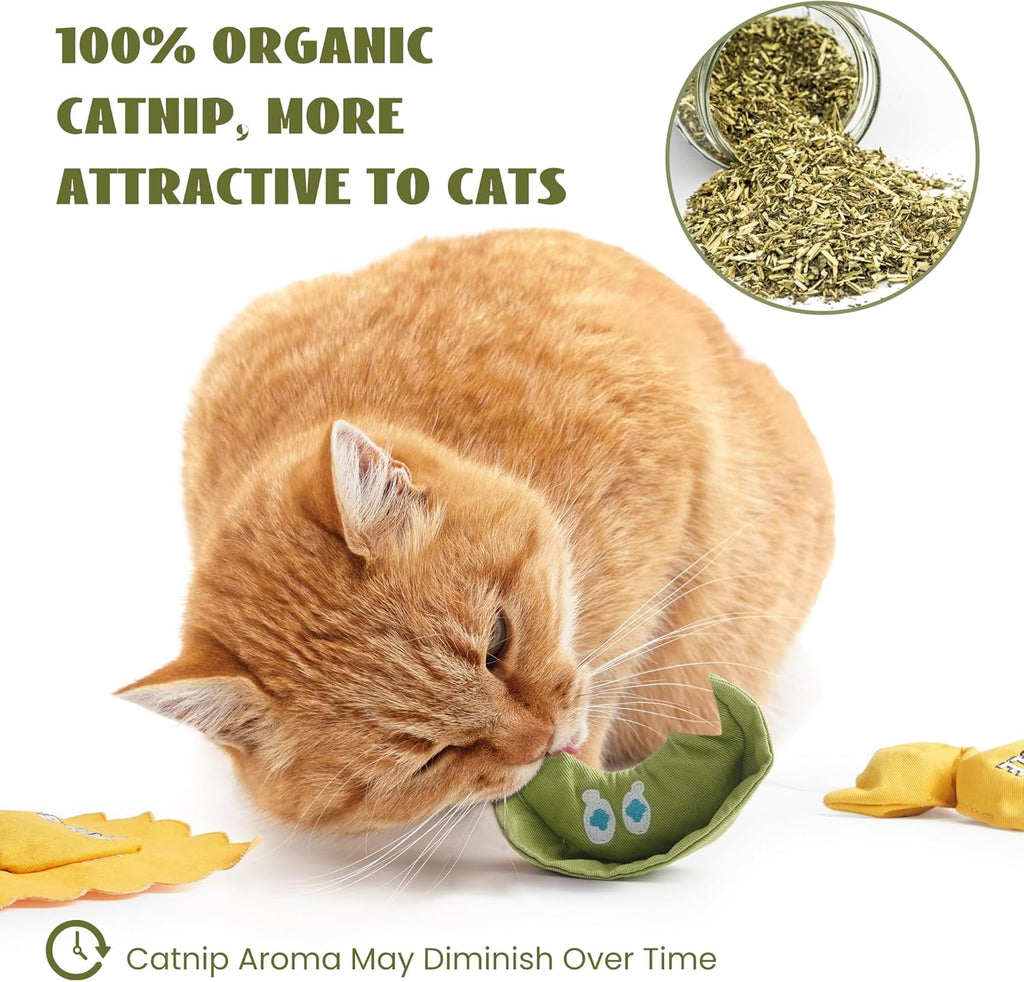 3 Pack Pasta 100% Pure Catnip Filled Cat Toys