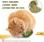 3 Pack Pasta 100% Pure Catnip Filled Cat Toys
