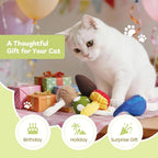 5 Pack Mushroom Natural Catnip Filled Cat Plush Toys