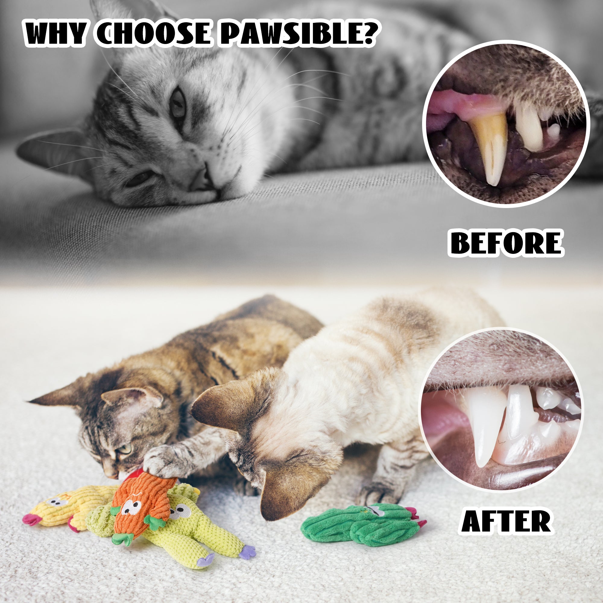 5 Pack Cactus 100% Pure Catnip Filled Cat Toys