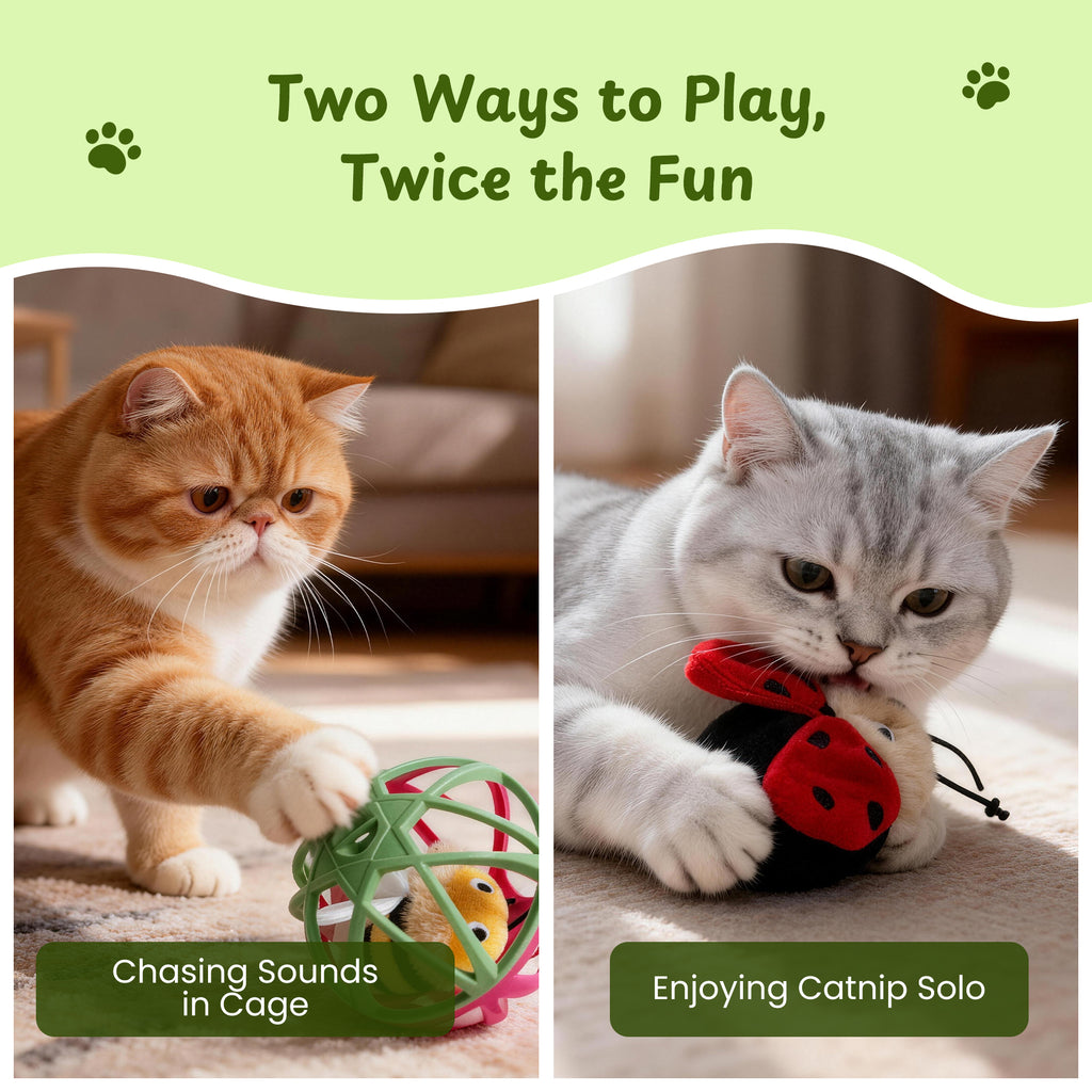Twittering Rolling Ball Cat Toy with 2 Pack Catnip Bugs