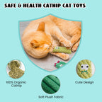 5 Pack Cactus 100% Pure Catnip Filled Cat Toys