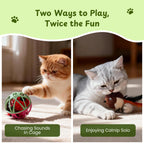 Twittering Rolling Ball Cat Toy with 2 Pack Catnip Birds