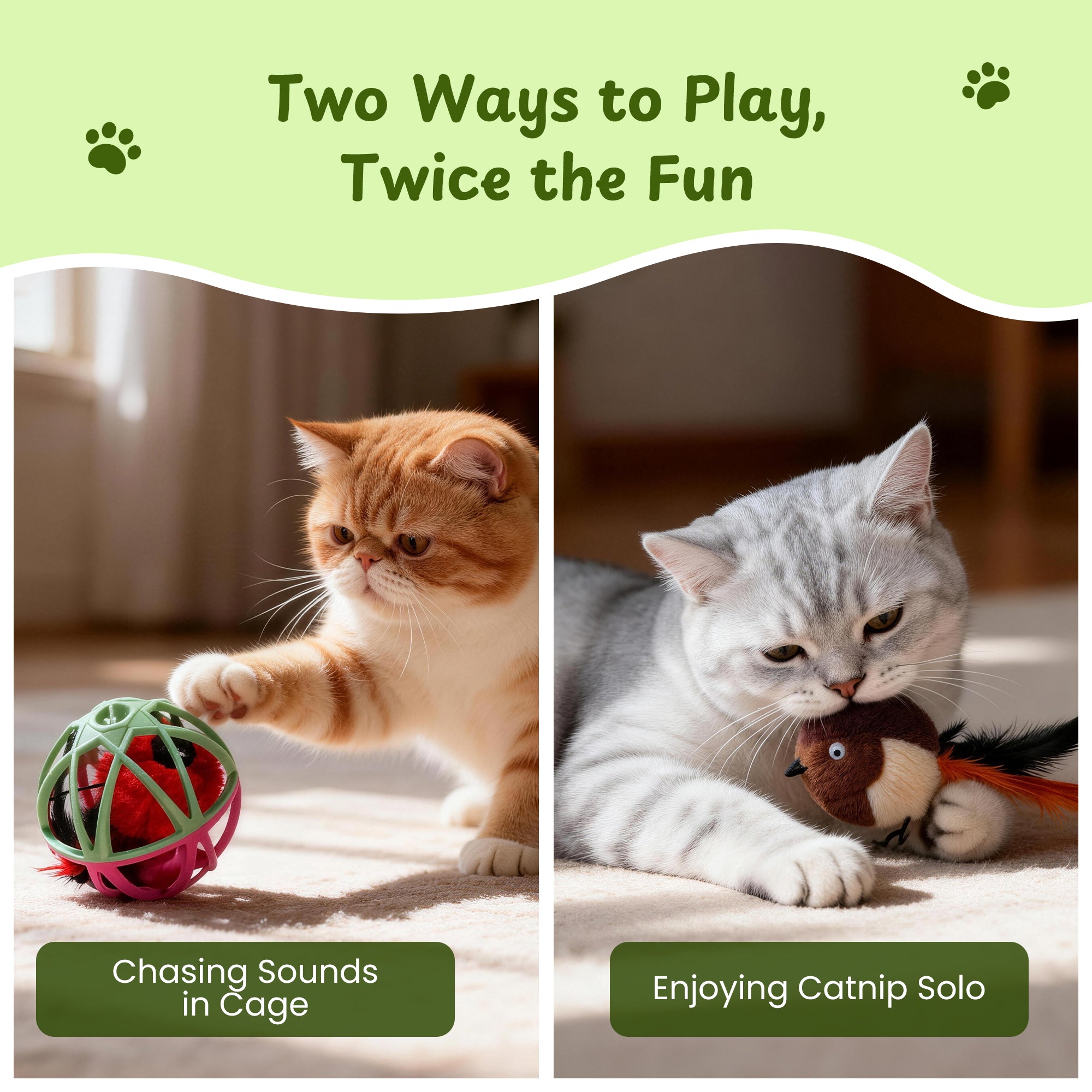 Twittering Rolling Ball Cat Toy with 2 Pack Catnip Birds