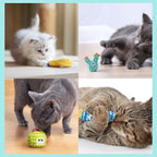 5 Pack Colorful Cactus 100% Pure Catnip Filled Cat Toys