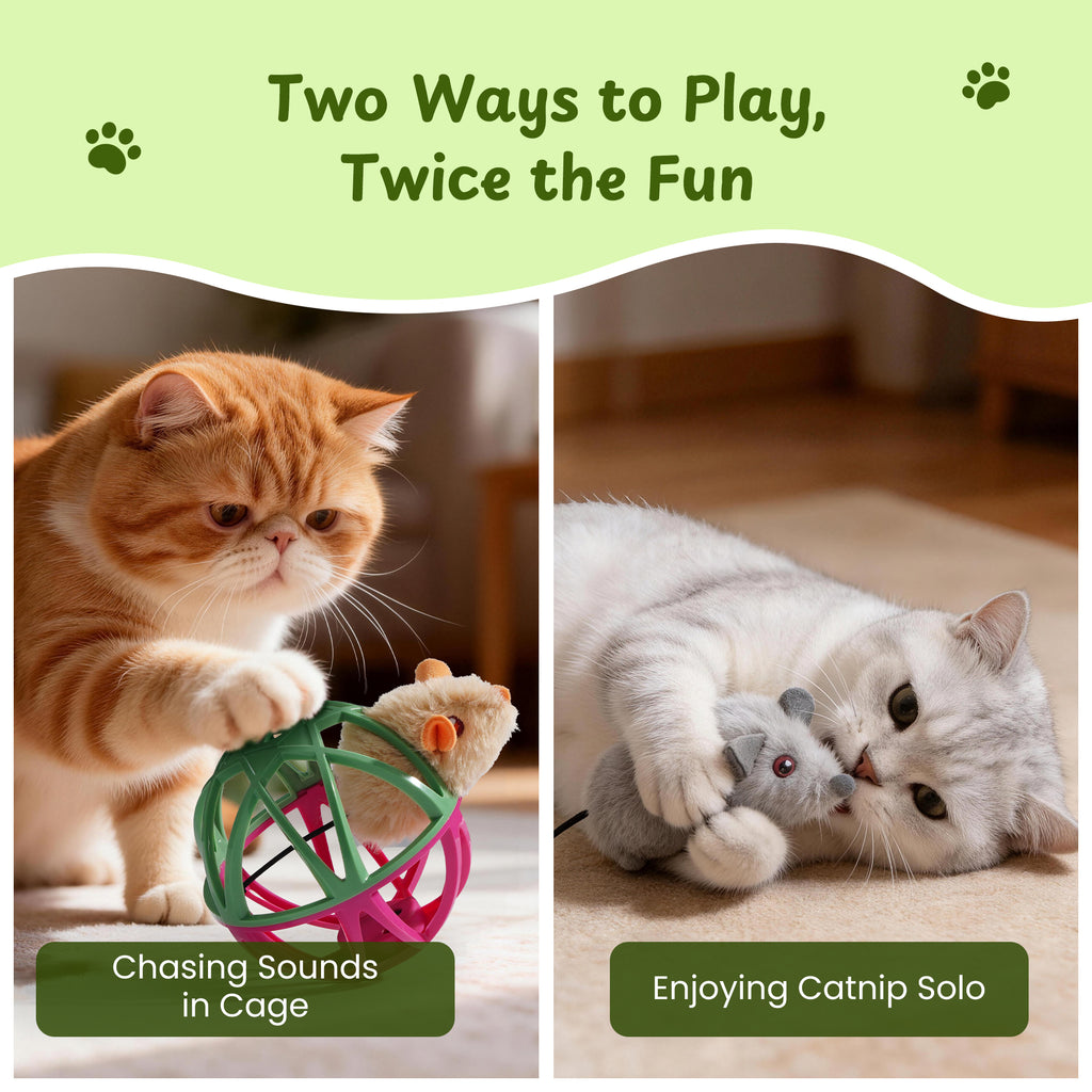 Twittering Rolling Ball Cat Toy with 2 Pack Catnip Rats