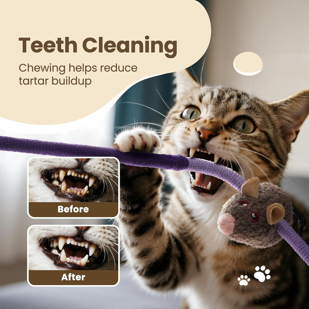 3 Pack Cat Chew Ropes with Catnip Filling Rats & Gall Fruits