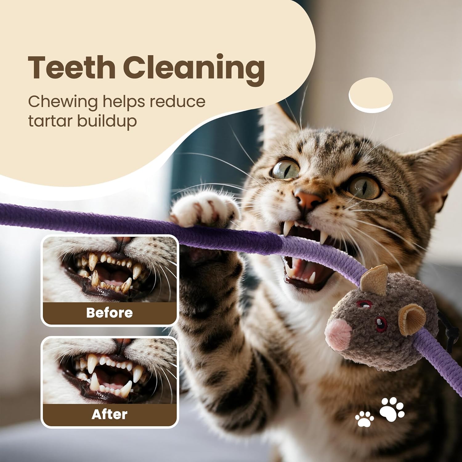 3 Pack Cat Chew Ropes with Catnip Filling Rats & Gall Fruits