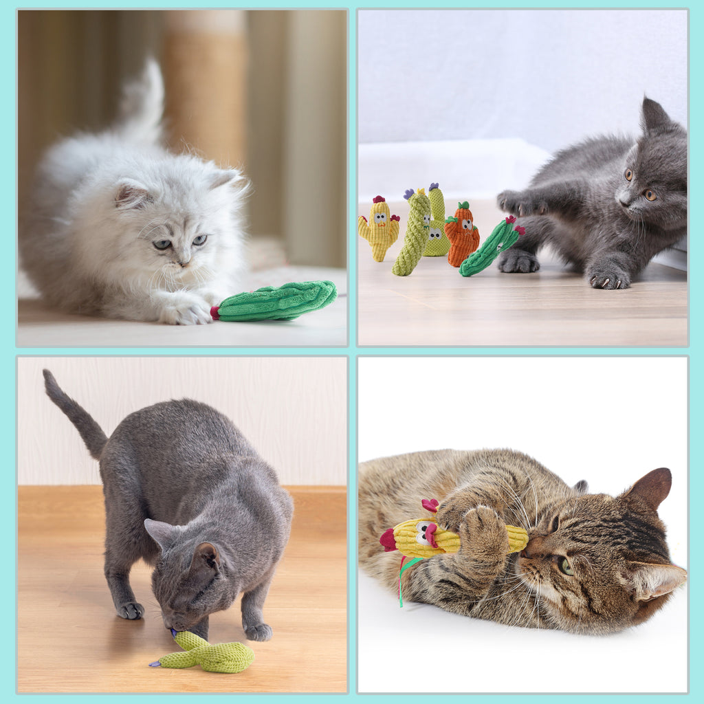 5 Pack Cactus 100% Pure Catnip Filled Cat Toys