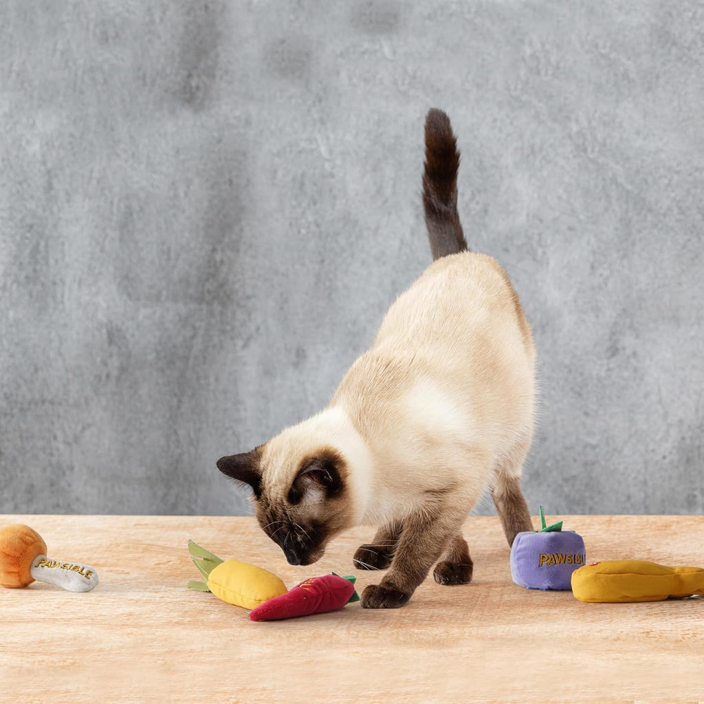 5 Pack Foodie 100% Pure Catnip Filled Cat Toys