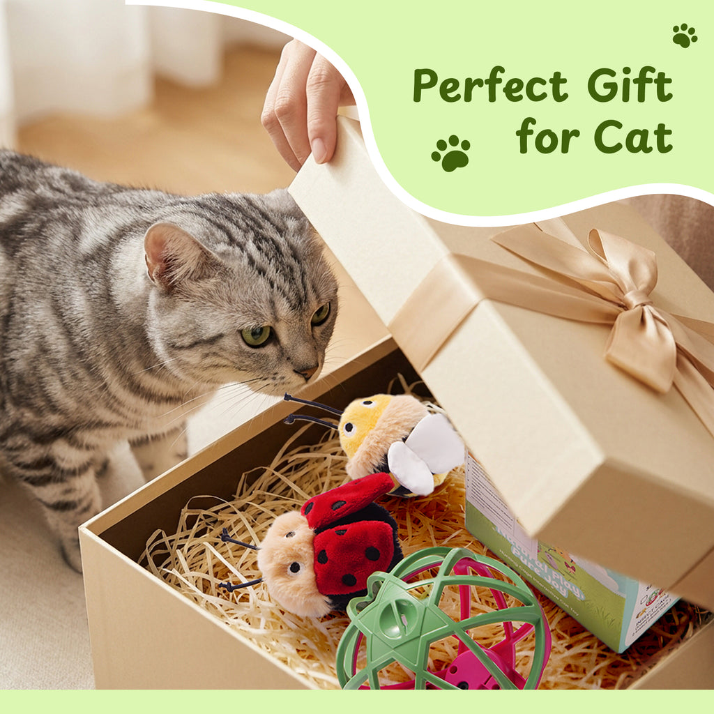 Twittering Rolling Ball Cat Toy with 2 Pack Catnip Bugs