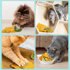 3 Pack Pasta 100% Pure Catnip Filled Cat Toys