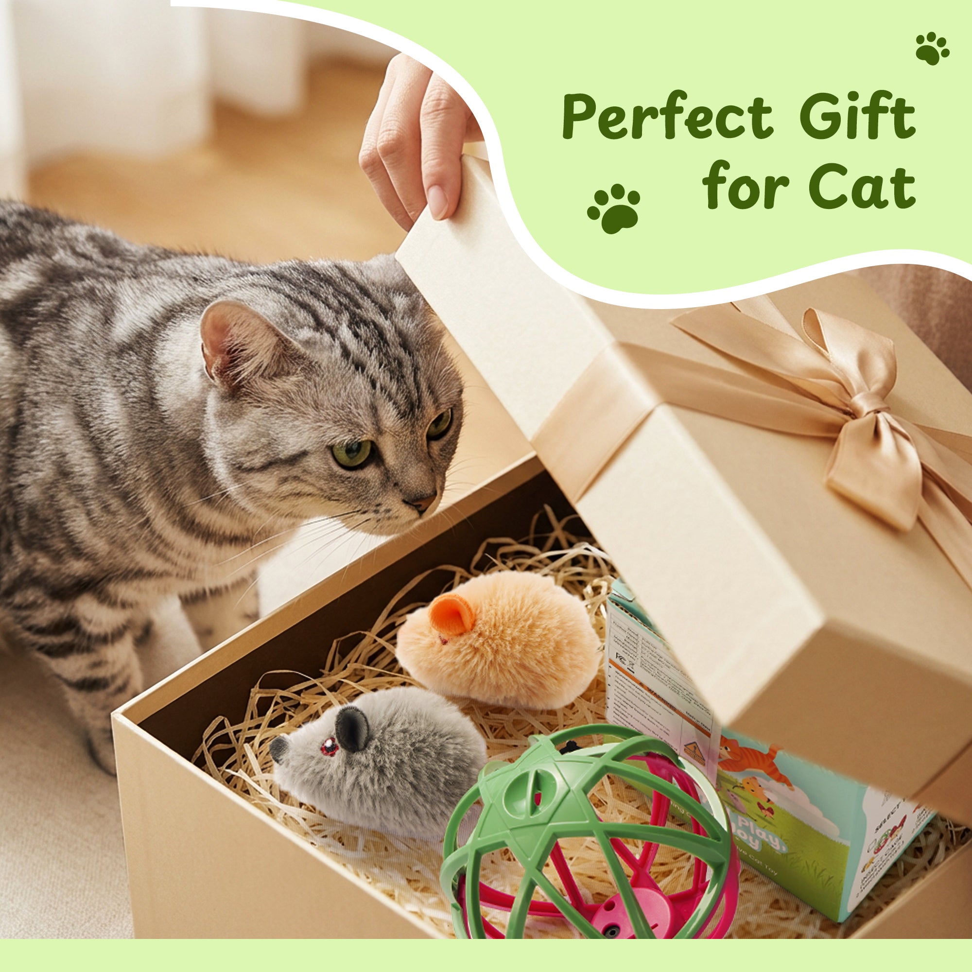 Twittering Rolling Ball Cat Toy with 2 Pack Catnip Rats