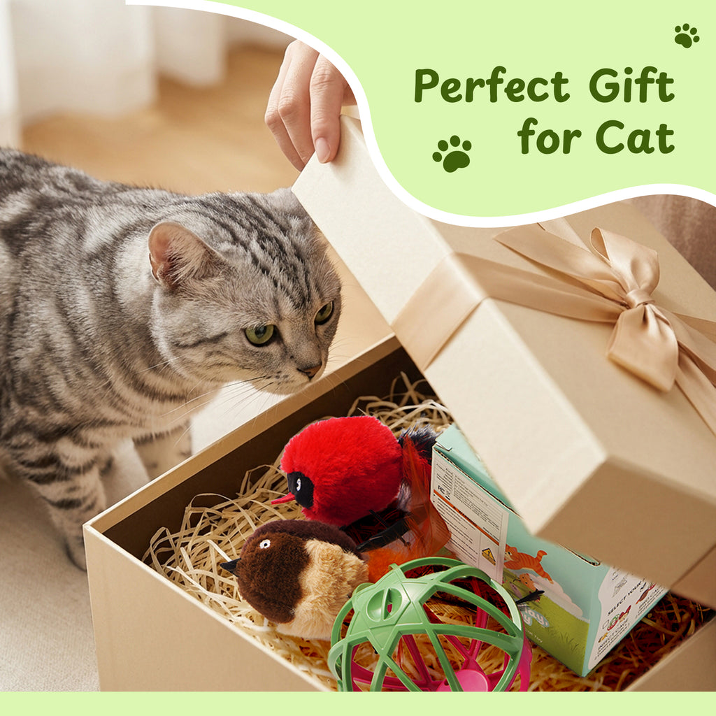 Twittering Rolling Ball Cat Toy with 2 Pack Catnip Birds